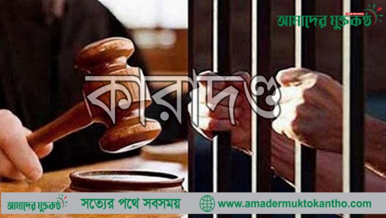 হবিগঞ্জের নবীগঞ্জ মা কে নির্যাতনের দায়ে ছেলে কে ৬মাসের কারাদণ্ড